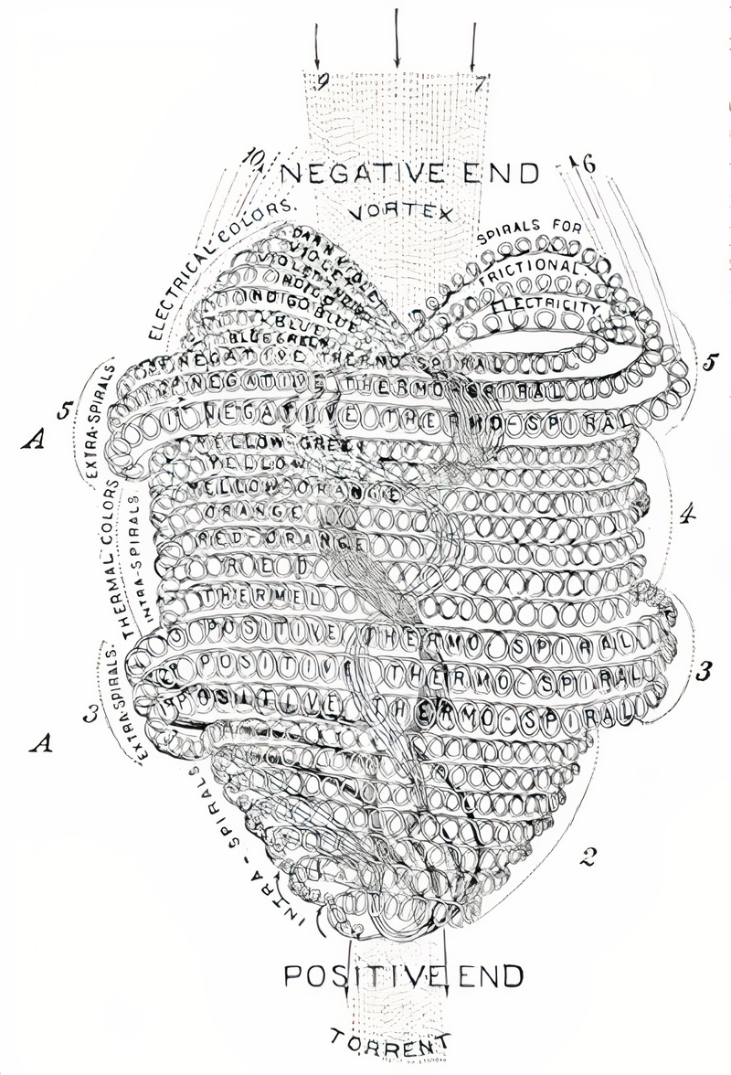 Plate from page 11