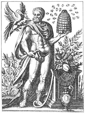 Plate from page 171