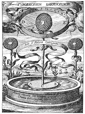 Plate from page 273