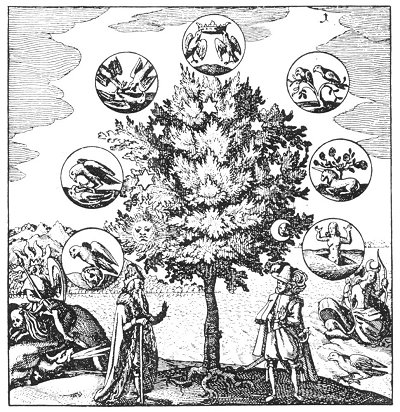Plate from page 276