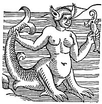 Plate from page 312
