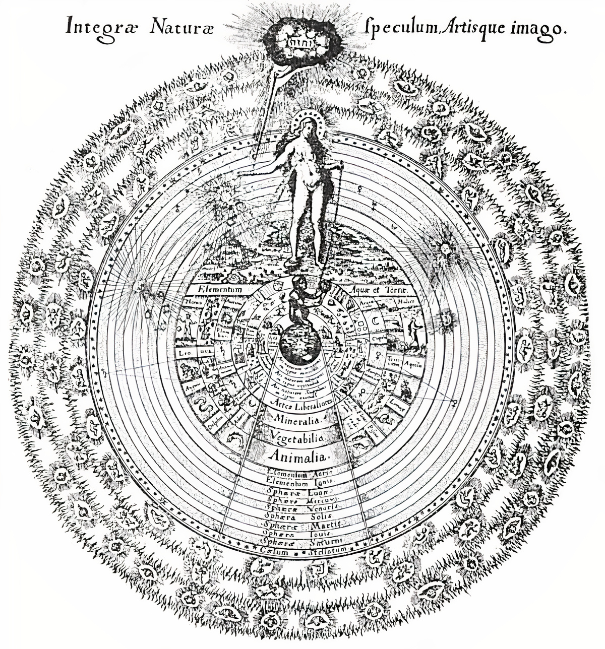 Plate from page 420
