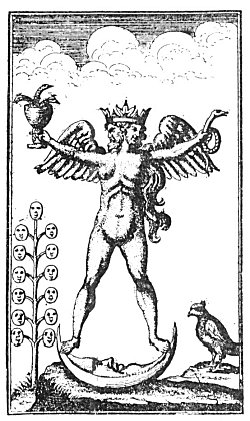 Plate from page 423