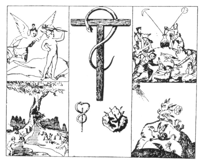 Plate from page 456