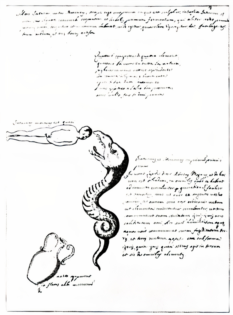 Plate from page 488