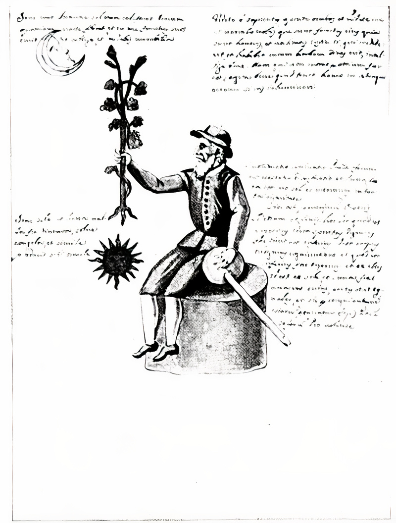 Plate from page 494