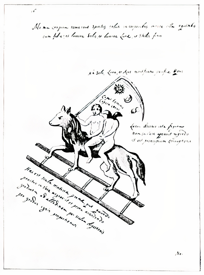 Plate from page 501