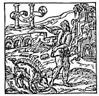 Plate from page 530