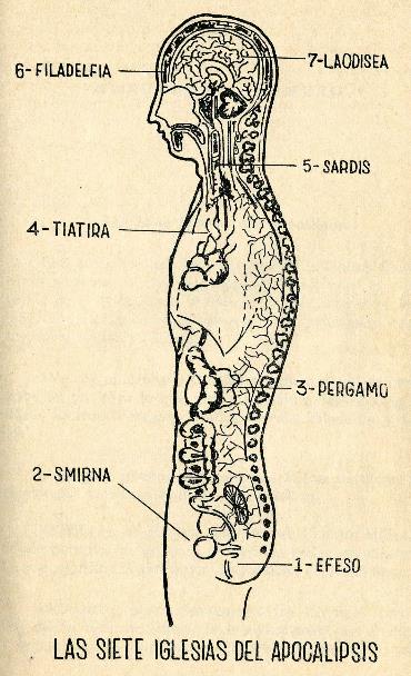 Lámina