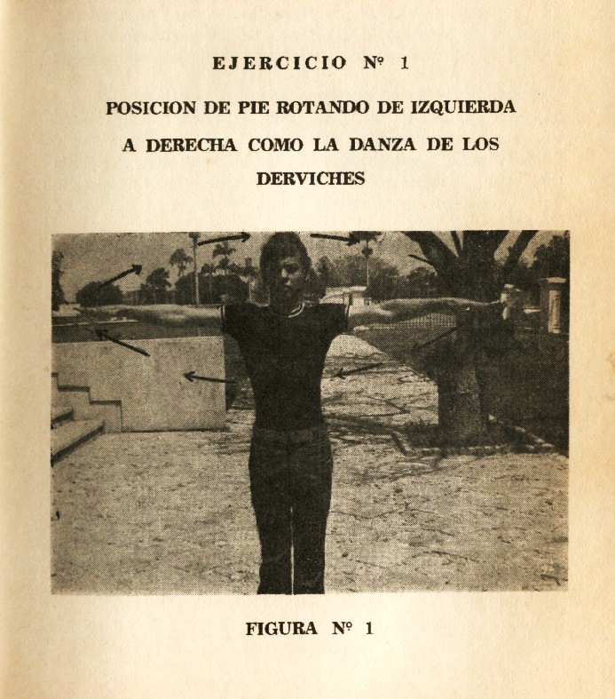 Lámina