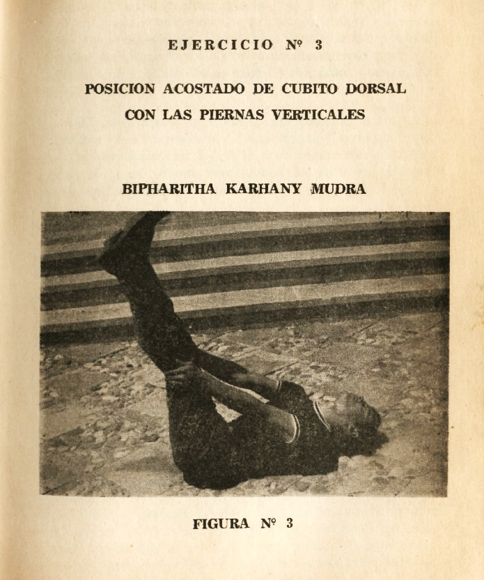 Lámina