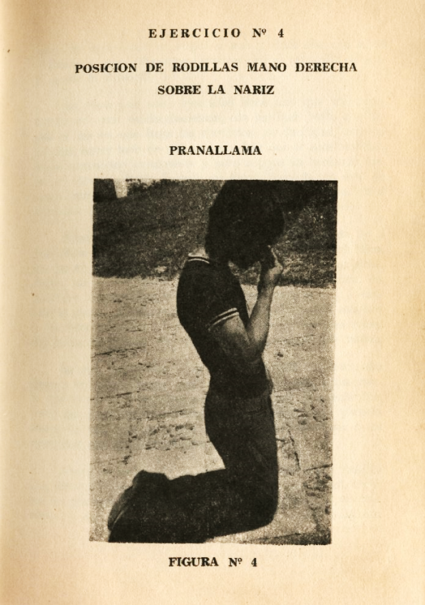 Lámina