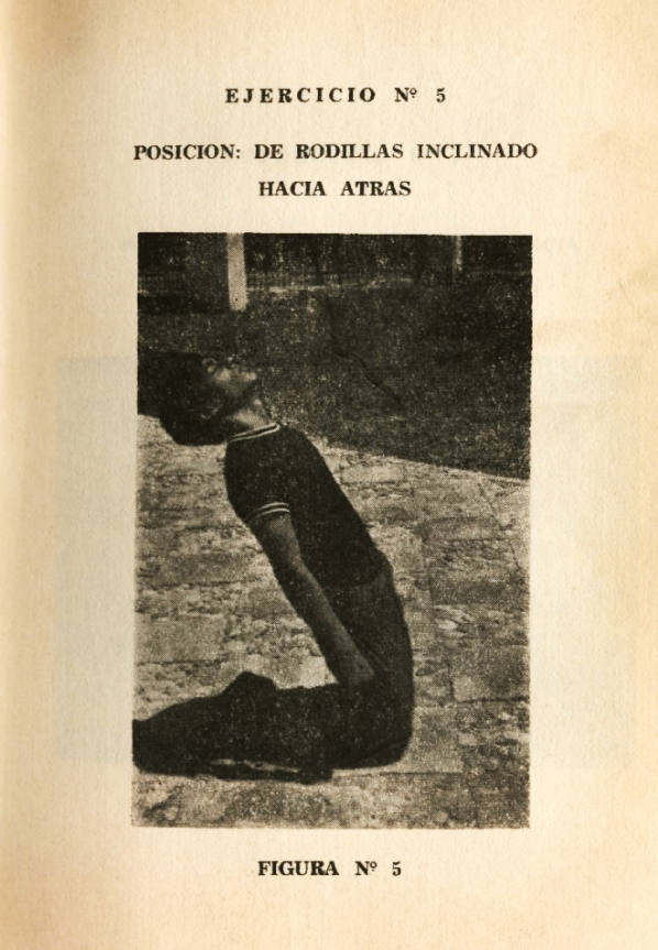 Lámina