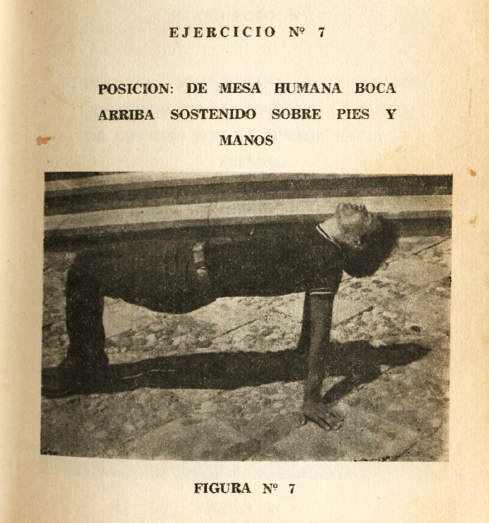 Lámina