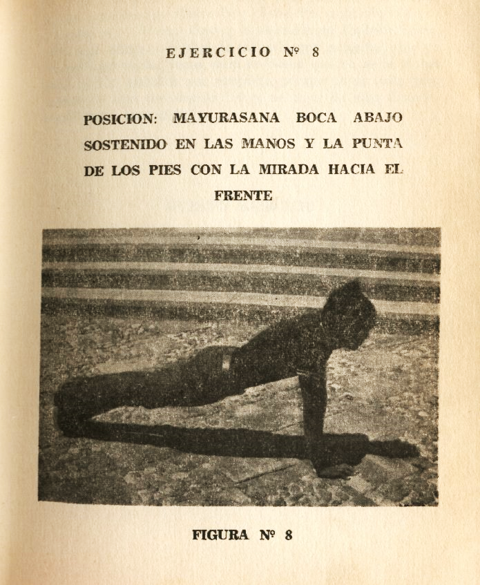 Lámina