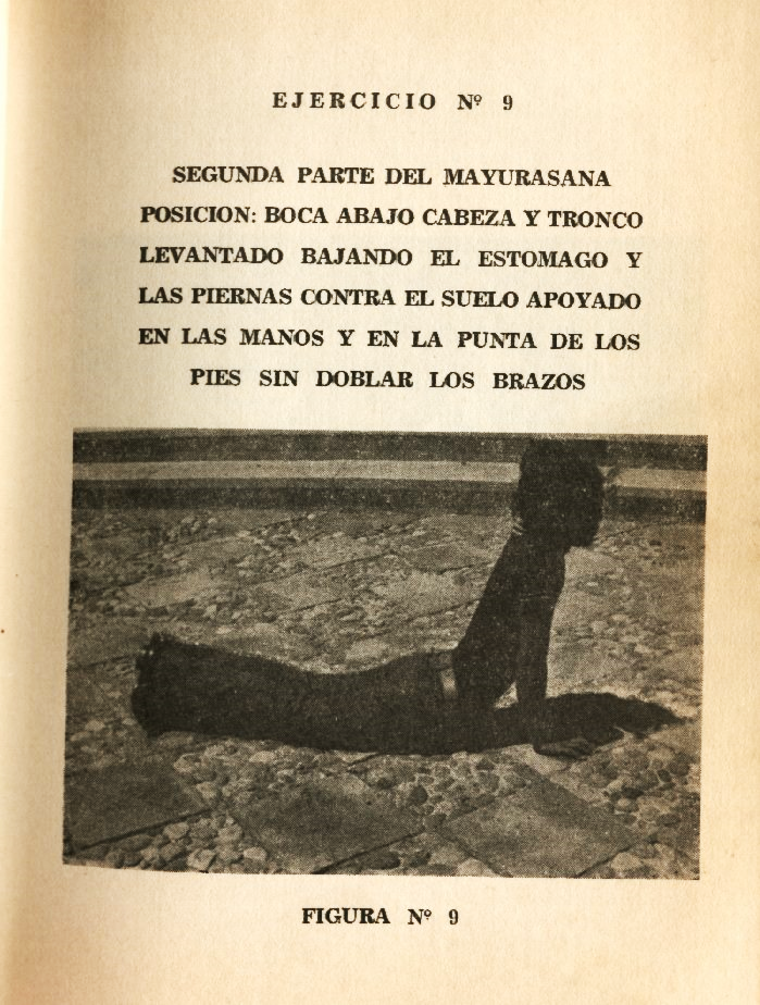 Lámina