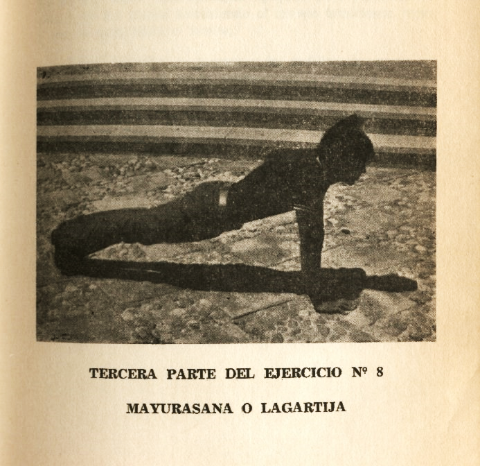 Lámina