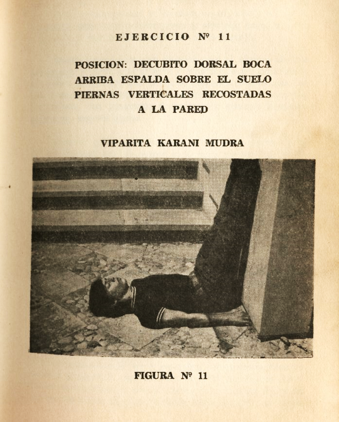Lámina