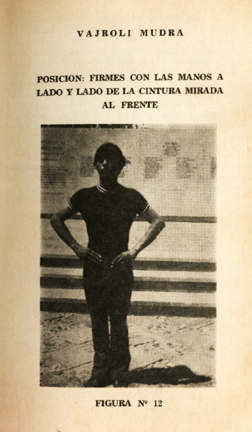 Lámina