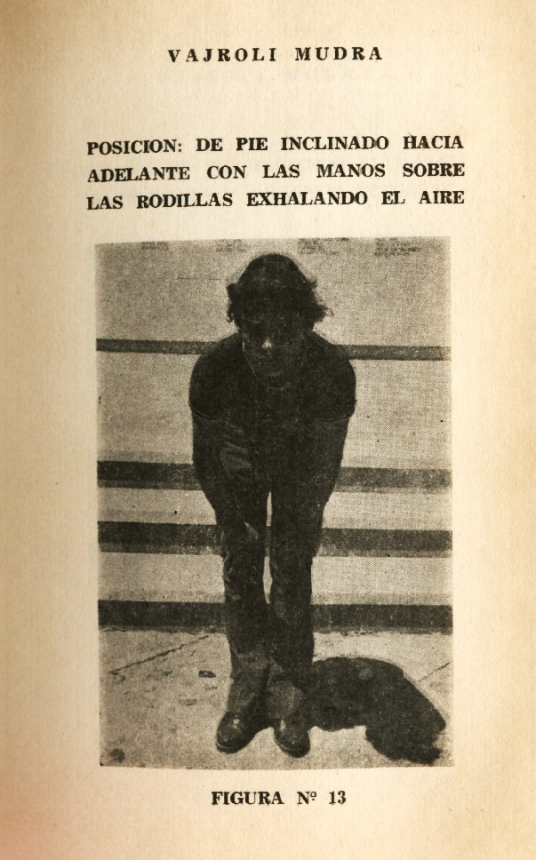 Lámina