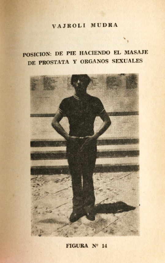 Lámina