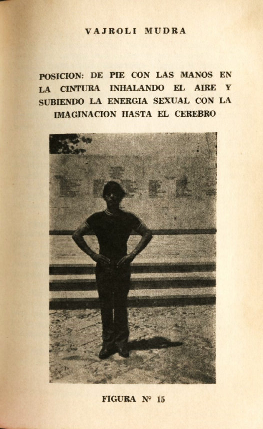Lámina