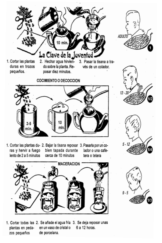La Clave de la Juventud
